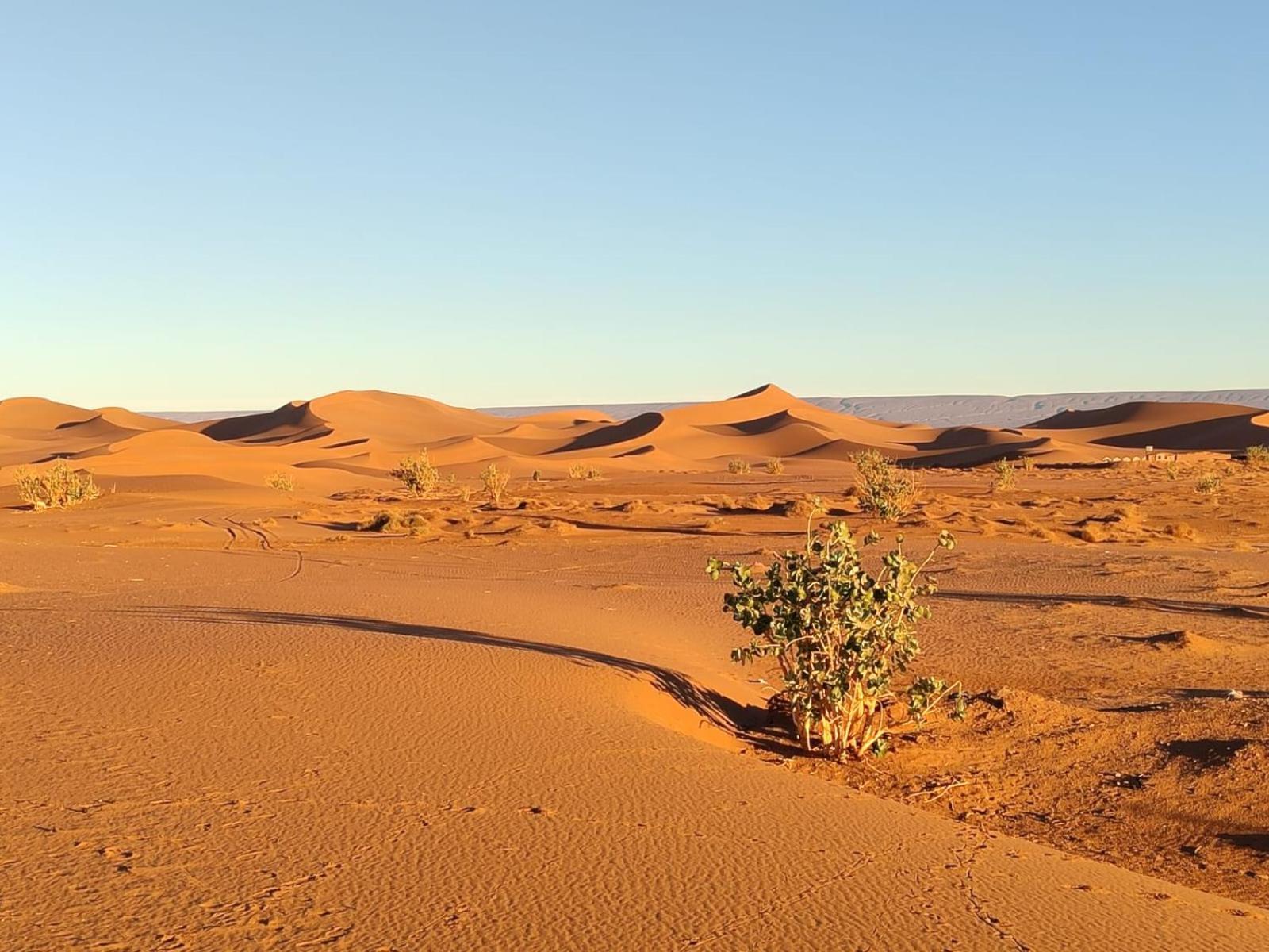 Camp Desert Bivouac Chegaga El Gouera Luaran gambar