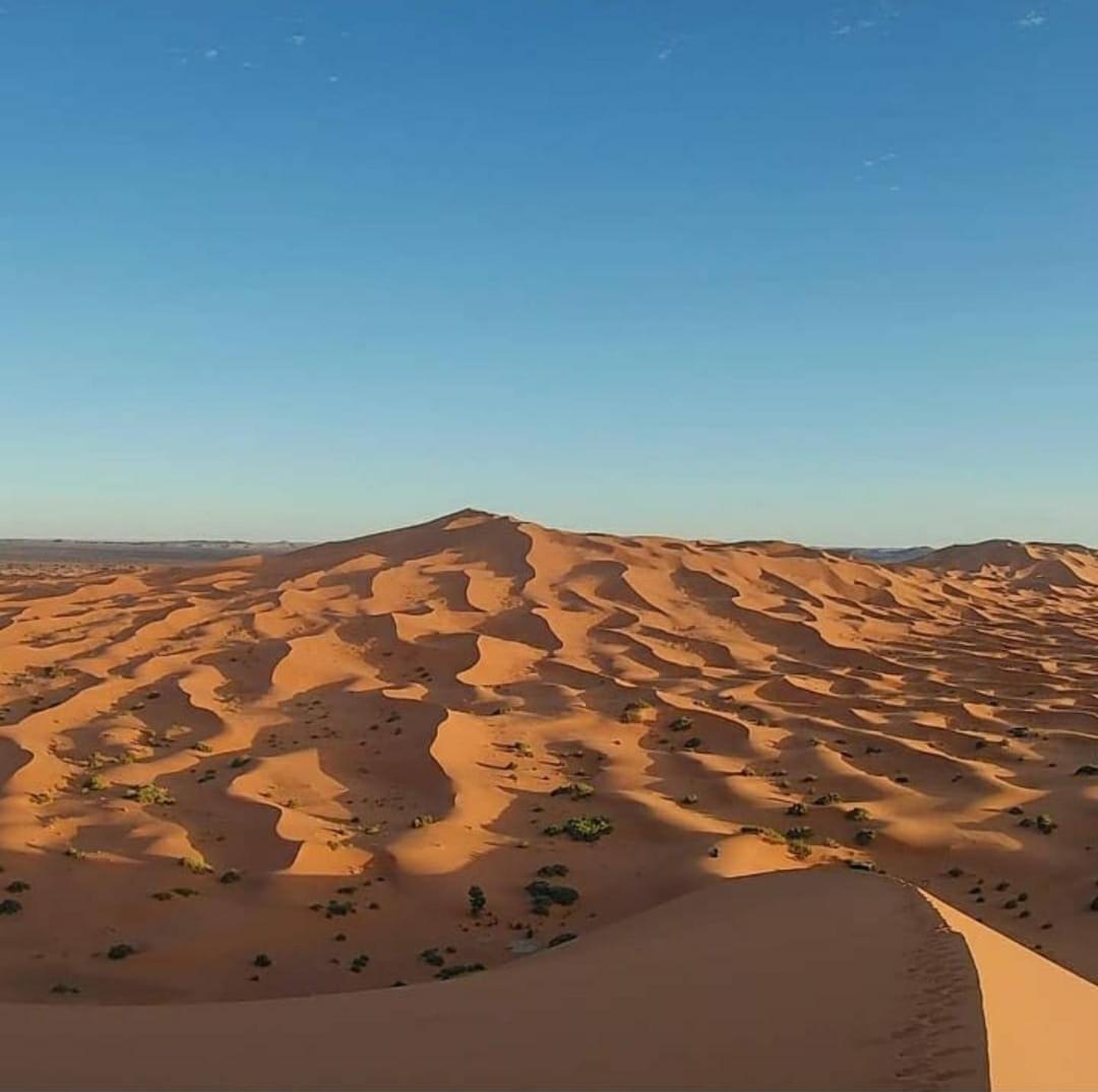 Camp Desert Bivouac Chegaga El Gouera Luaran gambar