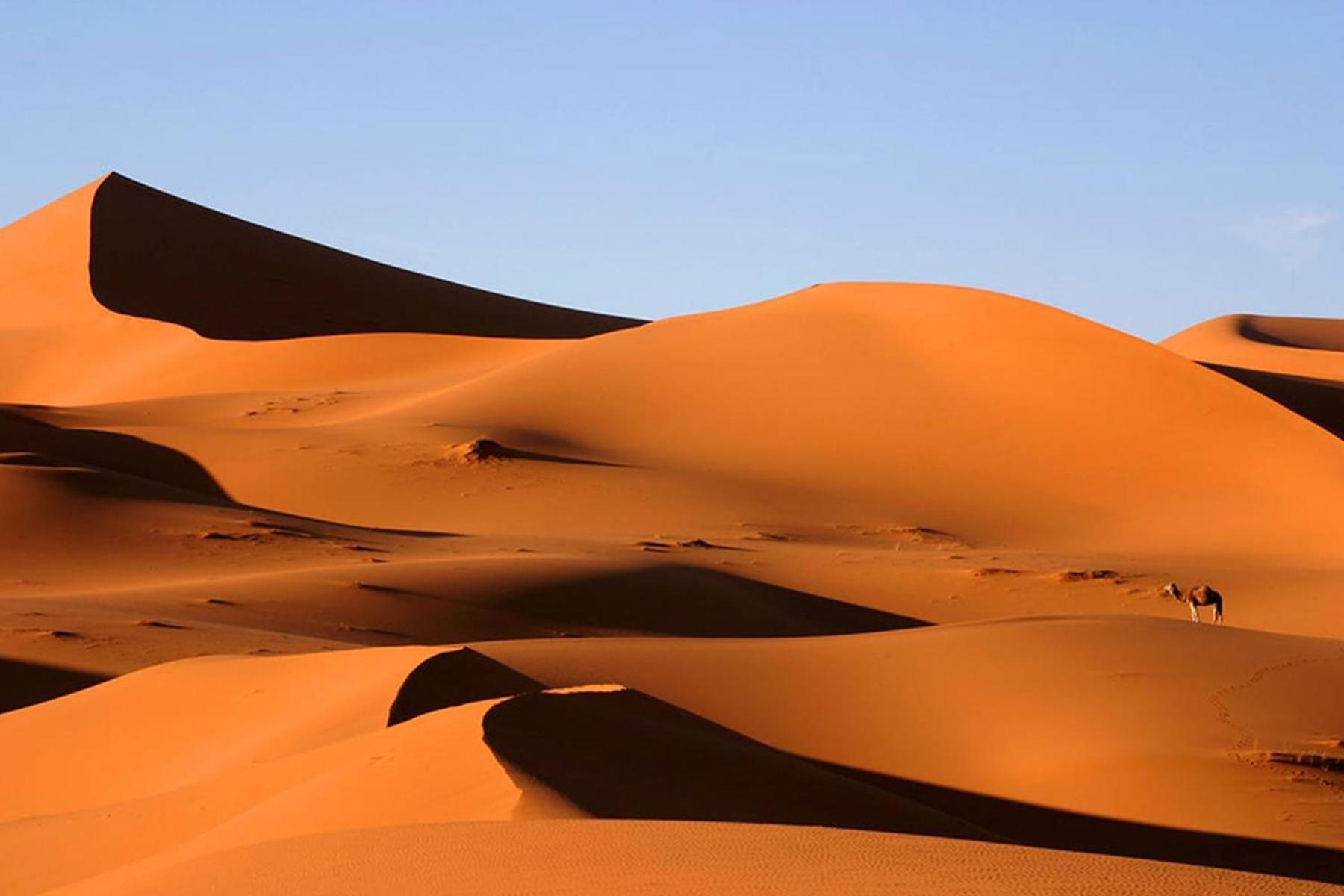 Camp Desert Bivouac Chegaga El Gouera Luaran gambar